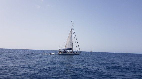 Octavia Bavaria 44, Парусная яхта