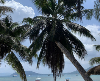 Seychelles, Gardens of Eden, Cruise, Seychelles, Mahe