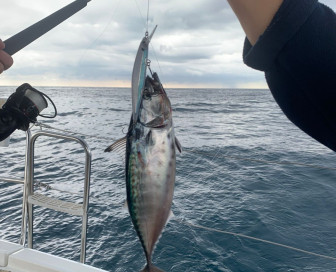 fishing on a yacht, Рыбалка, Черногория, Бар