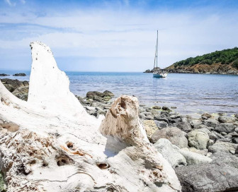 Sail trip catamaran, Дневной тур, Болгария, Бургас