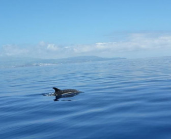 lost World Azores, Круиз, Португалия, Азорские острова