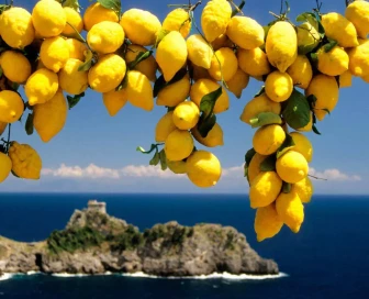 Amalfi coast cruise, Cruise, Italy, Amalfi