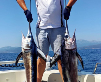 fishing from a moving boat, Fishing, Montenegro, Herceg Novi