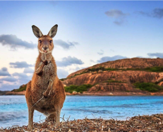 Australia on a sailing catamaran, Cruise, Australia, Queensland