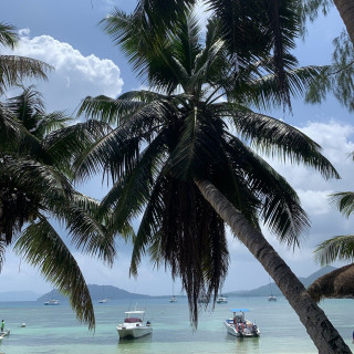 Seychelles, Gardens of Eden, Круиз, Сейшельские Острова, Маэ