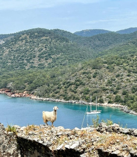 Week cruise on the Turkish sea, Круиз, Турция, Мармарис