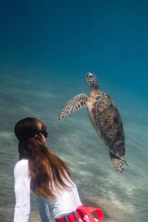 Dolphin trip, Круиз, Египет, Хургада