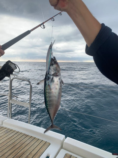 fishing on a yacht, Fishing, Montenegro, Bar