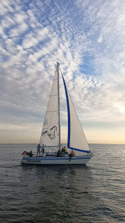 Skuggfaxe sailing, Дневной тур, Россия, Санкт-Петербург