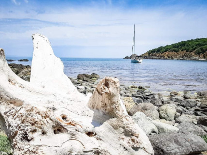 Sail trip catamaran, Дневной тур, Болгария, Бургас