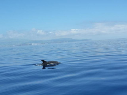 lost World Azores, Круиз, Португалия, Азорские острова