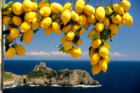 Amalfi coast cruise, Cruise, Italy, Amalfi