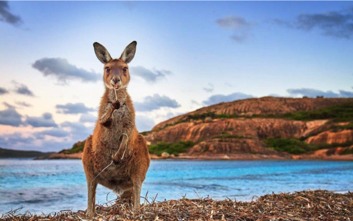 Australia on a sailing catamaran, Cruise, Australia, Queensland