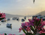 Between the islands and cities of the Adriatic: private sailing yacht cruise, Cruise, Montenegro, Tivat