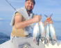 squid fishing, Fishing, Montenegro, Herceg Novi