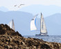 Mediterranean Yacht Championship, Regatta, Turkey, Marmaris