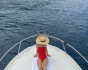 Motor boat trips along the Bay of Kotor, One day charter, Montenegro, Herceg Novi