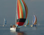 MRDUYSKA REGATA, Regatta, Croatia, Split