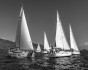 UNITED SAILING WEEK, Регата, Турция, Фетхие, Гечек