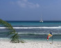 Seychelles, Gardens of Eden, Cruise, Seychelles, Mahe