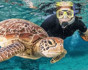 Terrestrial Eden: Seychelles catamaran cruise with ocean and island activities, Cruise, Seychelles, Mahe
