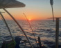 Fishing on the bay, Fishing, Turkey, Marmaris