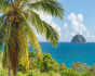 TRANSATLANTIC, One way trip, Spain, Canary islands