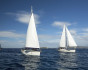 TRANSATLANTIC, One way trip, Spain, Canary islands