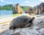 Paradise trip in Seychelles, Cruise, Seychelles, Mahe