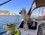 Family trip on a sailing yacht, One day charter, Turkey, Marmaris
