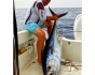 Fishing catch tuna &quot;Big Game&quot;, Fishing, Montenegro, Herceg Novi