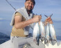 fishing from a moving boat, Fishing, Montenegro, Herceg Novi