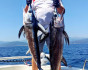 fishing from a moving boat, Fishing, Montenegro, Herceg Novi