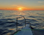 Fishing on the bay, Fishing, Turkey, Marmaris