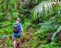 Terrestrial Eden: Seychelles catamaran cruise with ocean and island activities, Cruise, Seychelles, Mahe