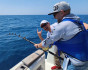 Fishing in the bay, Fishing, Montenegro, Herceg Novi