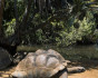 Terrestrial Eden: Seychelles catamaran cruise with ocean and island activities, Cruise, Seychelles, Mahe